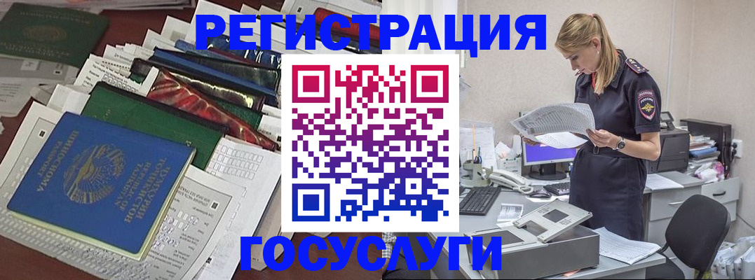 где прописаться в Ельне